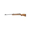 gamo big cat
